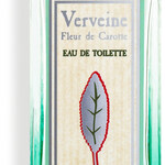 Verveine Fleur de Carotte (L'Occitane en Provence)