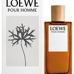 Loewe pour Homme (Eau de Toilette) (Loewe)
