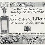 Parfum Lilas / Lilac (Gustav Lohse)