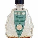 Gardenia (Arthur Philippi)