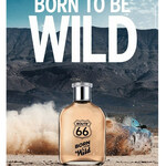 Born to Be Wild (Route 66)