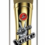 The Voice Men Gold (The Voice)