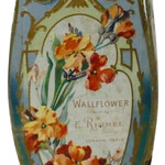 Wallflower / Giroflée (Rimmel)