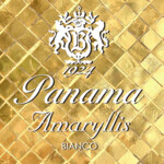 Amaryllis / Amaryllis Bianco (Panama 1924)