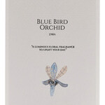 Blue Bird Orchid (Zara)