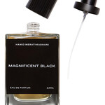 Magnificent Black (Zara)