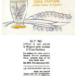 Muguet (Elina Fantane / Eliflor)