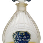 Old English Lavender (Dubarry et Cie.)