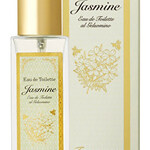 Jasmine / ジャスミン (Terracuore / テラクオーレ)