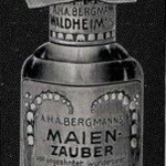 Maienzauber (A. H. A. Bergmann)