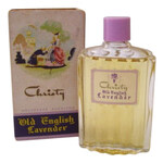 Old English Lavender (Christy)