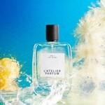 Opus 3 - Hot Splash (L'Atelier Parfum)