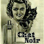 Chat Noir (Lady)