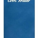 Cool Water (After Shave) (Davidoff)