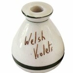 Welsh Violets (Amblins)