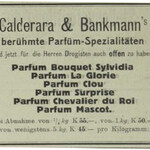 Sylvidia (Calderara & Bankmann)