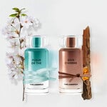 Les Parfums Matières - Bois d'Ambre (Karl Lagerfeld)