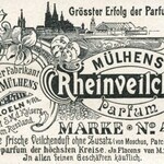 Rheinveilchen (Mülhens)