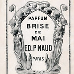 Brise de Mai (Clubman / Edouard Pinaud)