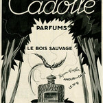 Le Bois Sauvage (Cadolle)
