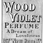 Wood Violet (Breidenbach & Co.)