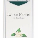 Lemon Flower / Limon Çiçeği (Marmara)