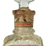 Héliotrope (F. Millot)
