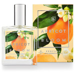 Apricot Bloom (Perfume) (Good Chemistry)