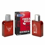 NBA Chicago Bulls (Air-Val International)
