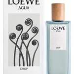 Agua Drop (Loewe)