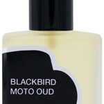 Moto Oud (Blackbird)