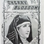 Cherry Blossom (John Gosnell & Co)