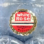 White Rose (Harmony of Boston)