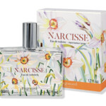 Narcisse (2023) (Fragonard)