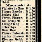 Jockey Club (A. Maczuski)
