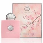 Blossom Love (Eau de Parfum) (Amouage)