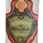 White Lace Rose (Dabrooks)