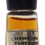 Hawaiian Tuberose (Liana of Waikiki)