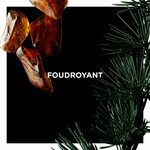 Foudroyant (Givenchy)