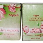 White Magnolia (Kappus)