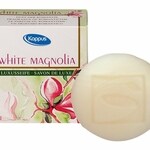 White Magnolia (Kappus)