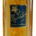 Narciso (Gandini)