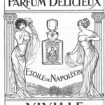 Étoile de Napoléon (Viville)