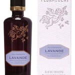 Classic Collection: Aqua Aromatica - Lavande (Florascent)