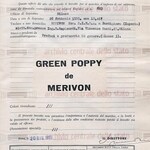 Green Poppy (Merivon)