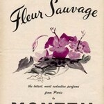 Fleur Sauvage (Eau de Cologne) (Germaine Monteil)