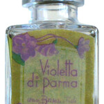 Violetta di Parma (Borsari 1870)