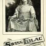Swiss Lilac (Lundborg)
