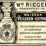 Weisser Veilchen-Extract (Rieger)