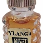 Ylanga (Coryse Salomé)